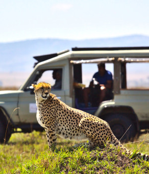 Kenya ex Dubai