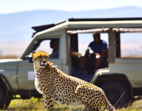Kenya ex Dubai